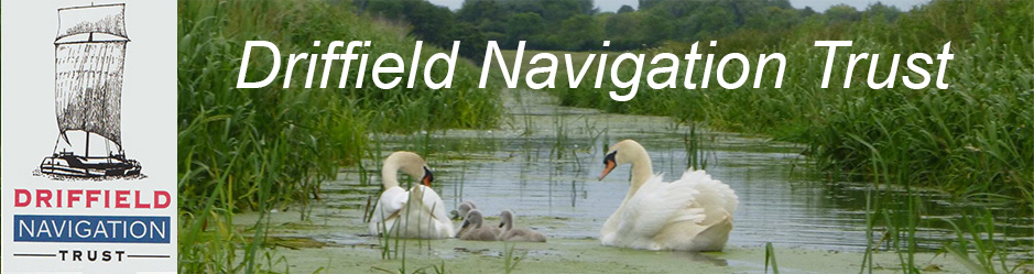 Swans on Navigation